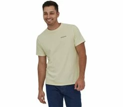 PATAGONIA Fitz Roy Icon Responsibili-Tee Haut Dextérieur | KELLER SPORTS [FR] Birch White